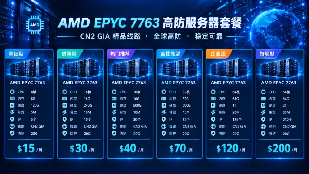 CN2 GIA 站群 VPS.jpg